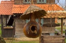 Apartman 